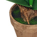 Pink Flower Plant 40cm Artificial Plant by Criterion -Home Living Store - -  