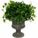 Shrub In Shaped Vase 24cm Artificial Plant by Criterion -Home Living Store - -  