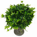 Shrub In Shaped Vase 24cm Artificial Plant by Criterion -Home Living Store - -  