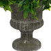 Shrub In Shaped Vase 24cm Artificial Plant by Criterion -Home Living Store - -  