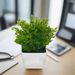 Tidy Green Shrub 20cm Artificial Plant by Criterion -Home Living Store - -  