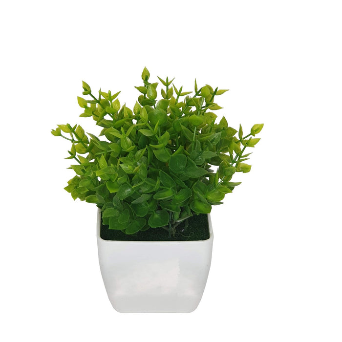 Tidy Green Shrub 20cm Artificial Plant by Criterion -Home Living Store - -  