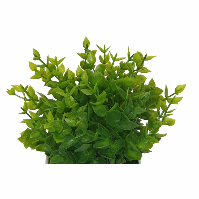 Tidy Green Shrub 20cm Artificial Plant by Criterion -Home Living Store - -  