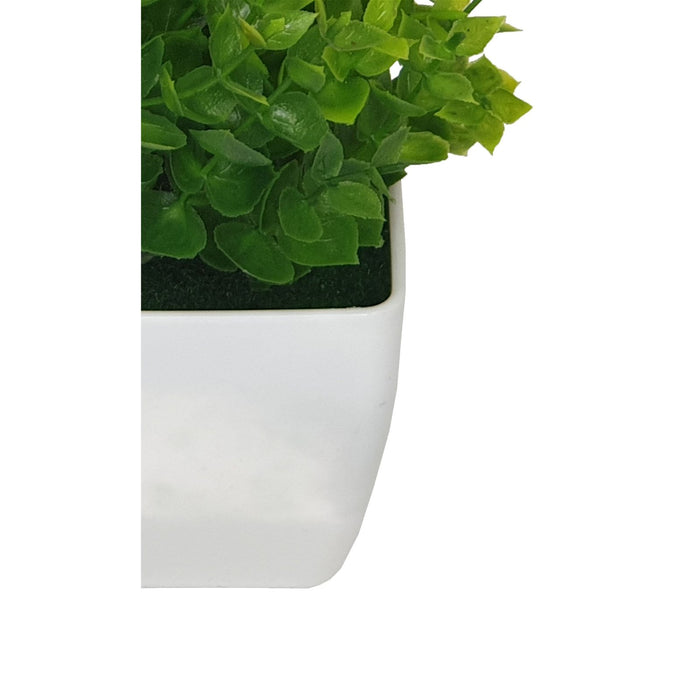 Tidy Green Shrub 20cm Artificial Plant by Criterion -Home Living Store - -  
