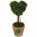 Topiary Heart 21cm Artificial Plant  In Terracotta-Look Pot by Criterion -Home Living Store - -  