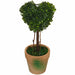 Topiary Heart 21cm Artificial Plant  In Terracotta-Look Pot by Criterion -Home Living Store - -  