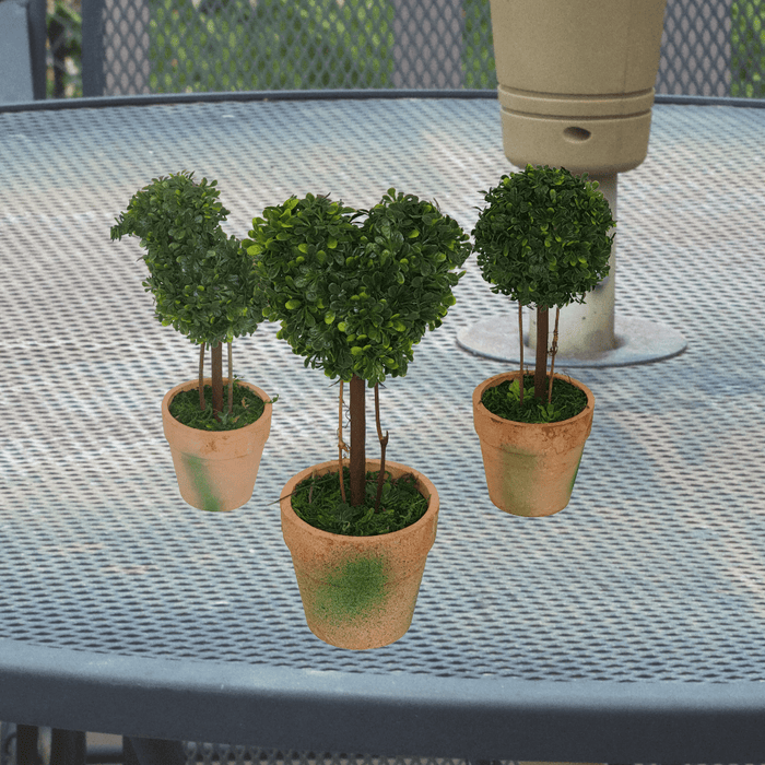 Topiary Pack -Home Living Store - -  