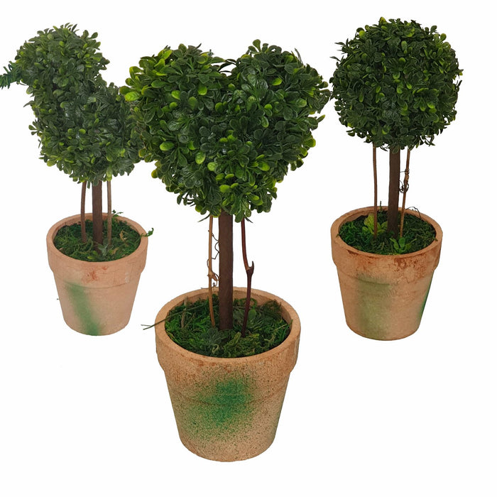 Topiary Pack -Home Living Store - -  