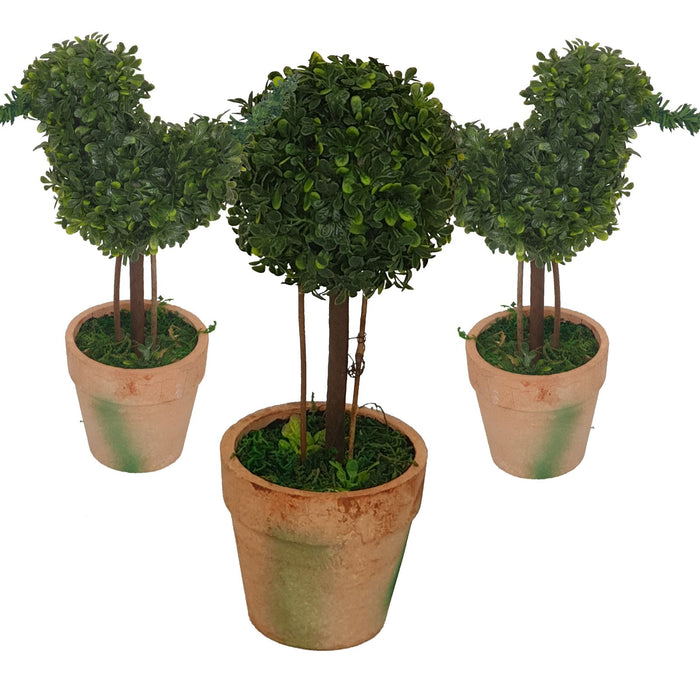 Topiary Pack -Home Living Store - -  