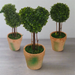 Topiary Pack -Home Living Store - -  