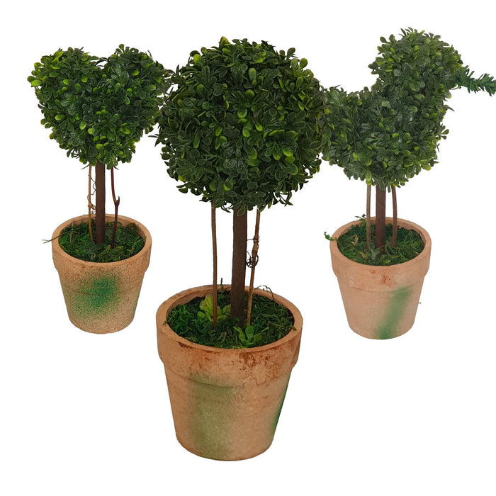 Topiary Pack -Home Living Store - -  