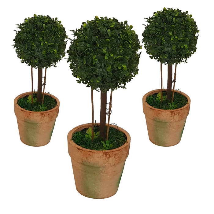 Topiary Pack -Home Living Store - -  