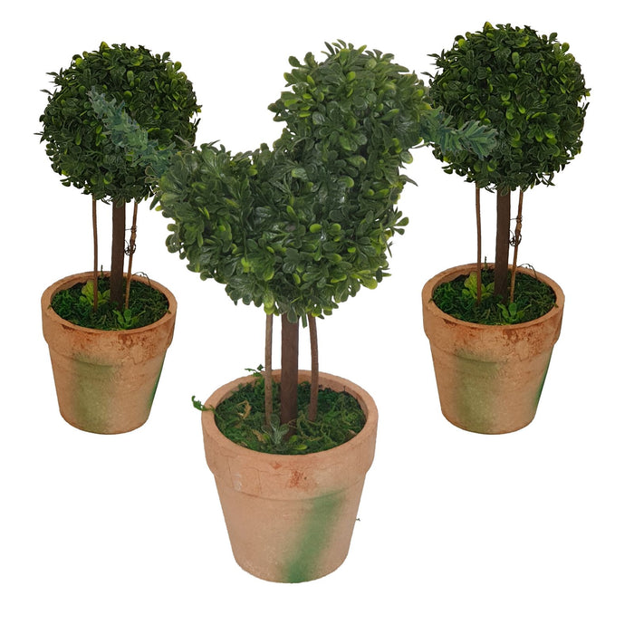 Topiary Pack -Home Living Store - -  