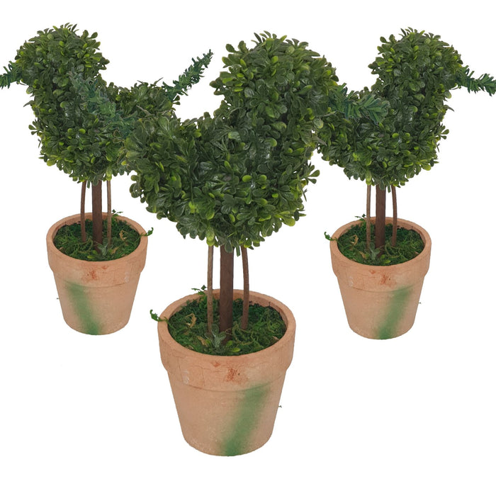 Topiary Pack -Home Living Store - -  