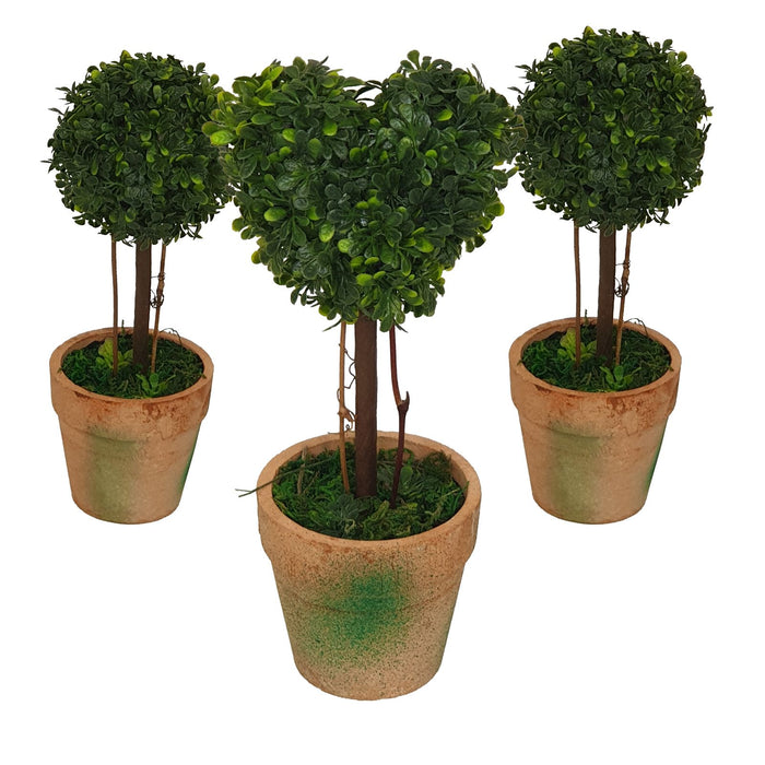 Topiary Pack -Home Living Store - -  