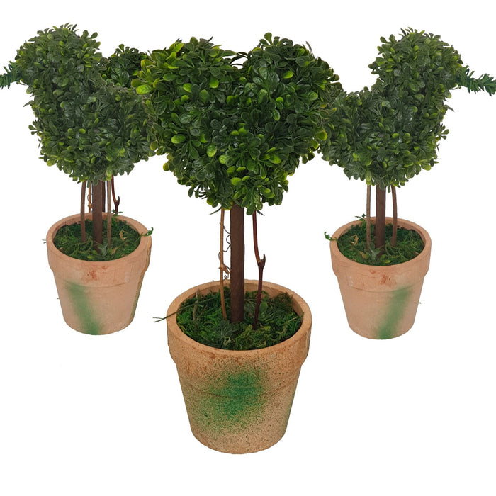 Topiary Pack -Home Living Store - -  