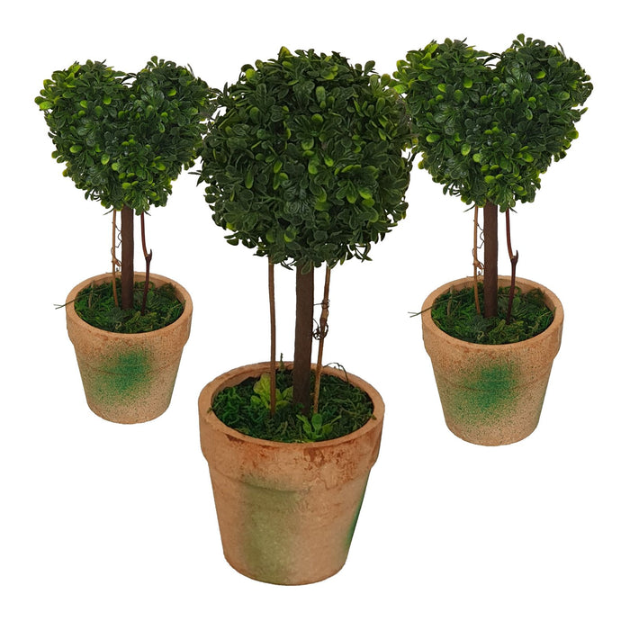 Topiary Pack -Home Living Store - -  