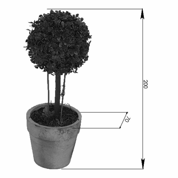 Topiary Pack -Home Living Store - -  