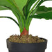 Broad Leaf Plant 43cm Artificial Plant by Criterion Home Living Store