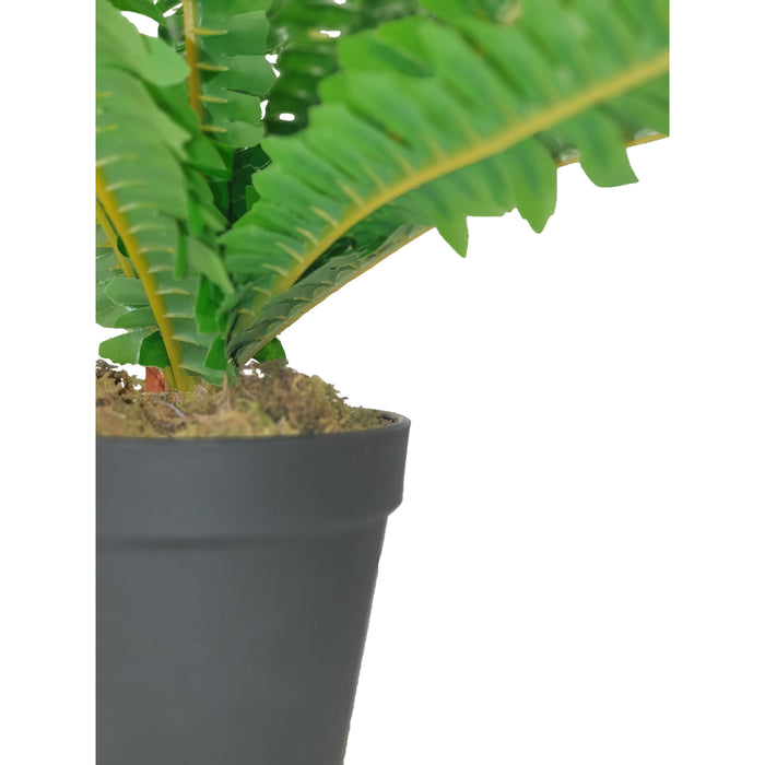 Green Leaf Fern 50cm Artificial Plant by Criterion Home Living Store