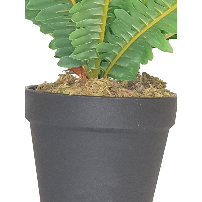 Green Leaf Fern 50cm Artificial Plant by Criterion Home Living Store