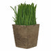 Lush Green 16cm Artificial Pot Plant by Criterion Home Living Store