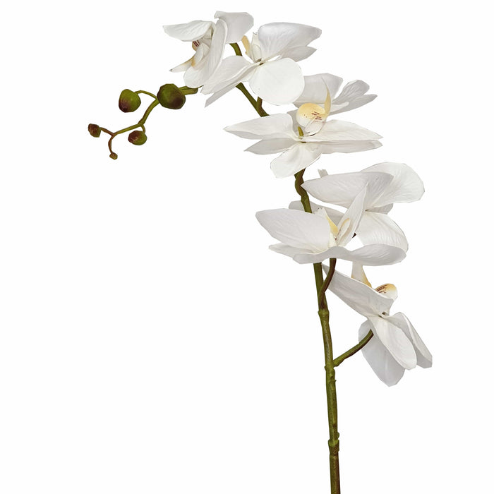 Orchid With White Flowers 60cm Artificial Plant by Criterion Home Living Store