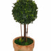 Topiary Ball 20cm Artificial Plant In Terracotta-Look Pot by Criterion Home Living Store