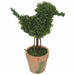 Topiary Duck 21cm Artificial Plant In Terracotta-Look Pot by Criterion Home Living Store