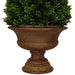 Topiary In Shaped Vase 50cm Artificial Plant by Criterion Home Living Store
