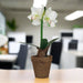 White Flower Pot 40cm Artificial Plant by Criterion Home Living Store