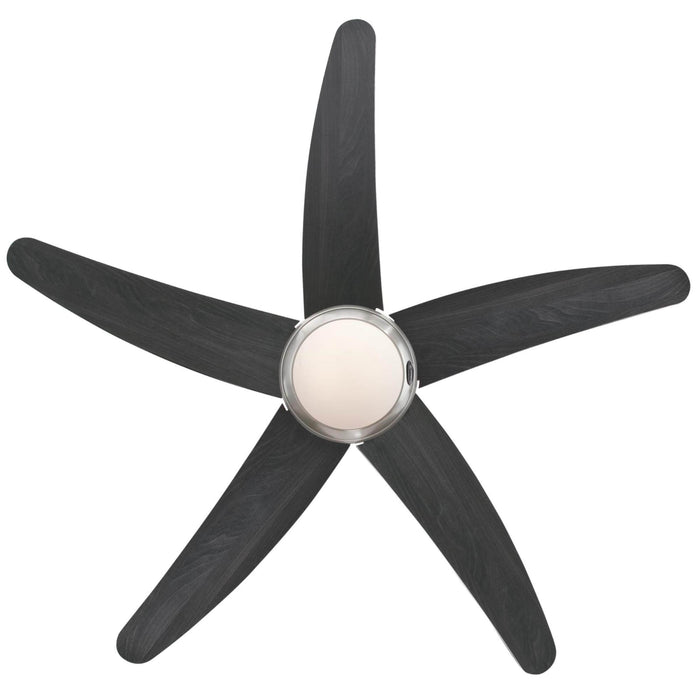 Bendan Wengue Ceiling Fan by Westinghouse Home Living Store