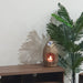 Nest Cavity Candle Holder by Urban Style™ Home & Garden > Decor > Home Fragrance Accessories > Candle Holders HLS
