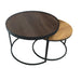Nested Coffee Table in Dark Walnut/English Oak by Urban Style™ Blank Background Image
